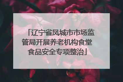 辽宁省凤城市市场监管局开展养老机构食堂食品安全专项整治