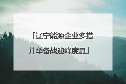 辽宁能源企业多措并举备战迎峰度夏