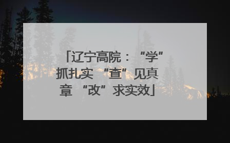 辽宁高院：“学”抓扎实 “查”见真章 “改”求实效