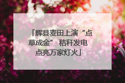 辉县麦田上演“点草成金” 秸秆发电点亮万家灯火