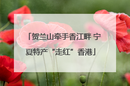 贺兰山牵手香江畔 宁夏特产“走红”香港