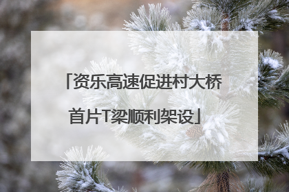资乐高速促进村大桥首片T梁顺利架设