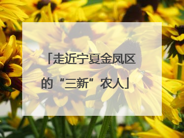 走近宁夏金凤区的“三新”农人
