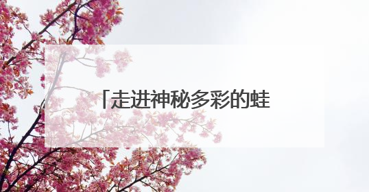 走进神秘多彩的蛙类世界，世纪公园“蛙蛙奇妙夜”开启招募，暑假共18场