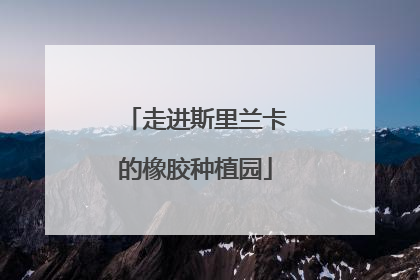 走进斯里兰卡的橡胶种植园