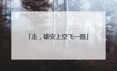 走，雄安上空飞一圈
