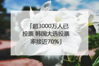 超3000万人已投票 韩国大选投票率接近70%