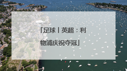 足球丨英超：利物浦庆祝夺冠