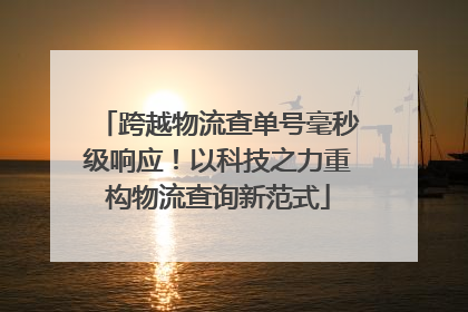 跨越物流查单号毫秒级响应！以科技之力重构物流查询新范式