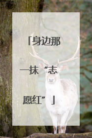 身边那一抹“志愿红”