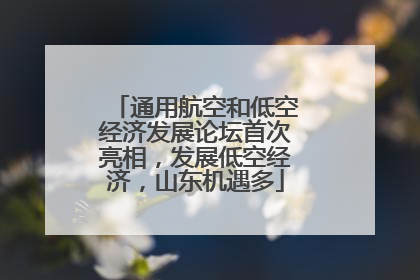 通用航空和低空经济发展论坛首次亮相，发展低空经济，山东机遇多