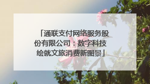 通联支付网络服务股份有限公司：数字科技绘就文旅消费新图景