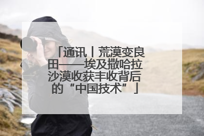 通讯丨荒漠变良田——埃及撒哈拉沙漠收获丰收背后的“中国技术”