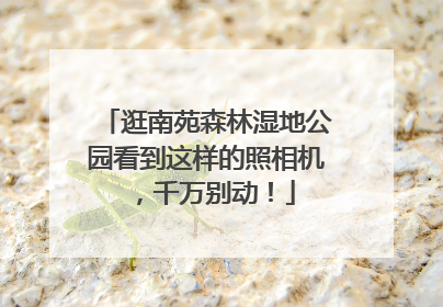 逛南苑森林湿地公园看到这样的照相机，千万别动！