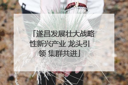 遂昌发展壮大战略性新兴产业 龙头引领 集群共进