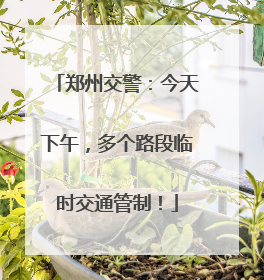 郑州交警：今天下午，多个路段临时交通管制！