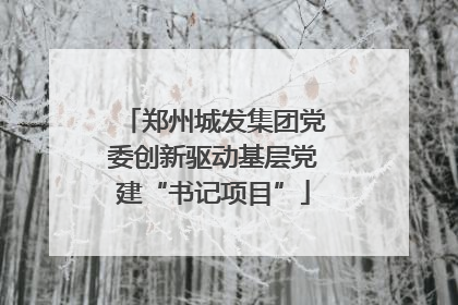 郑州城发集团党委创新驱动基层党建“书记项目”