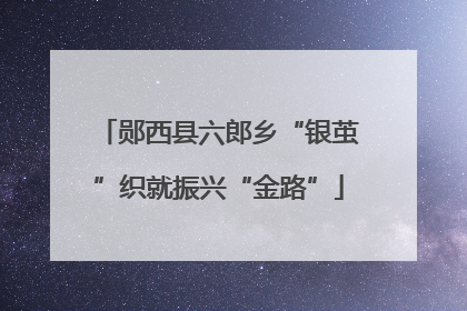 郧西县六郎乡“银茧”织就振兴“金路”