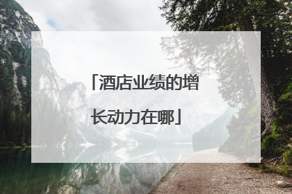 酒店业绩的增长动力在哪