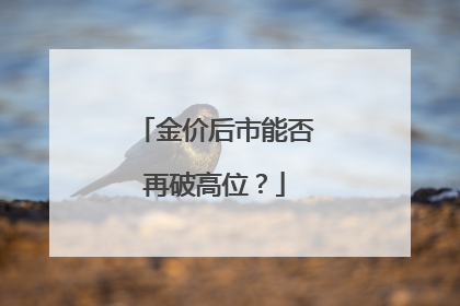 金价后市能否再破高位？