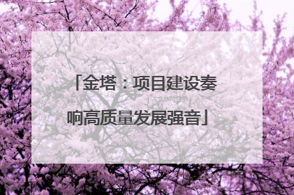 金塔：项目建设奏响高质量发展强音
