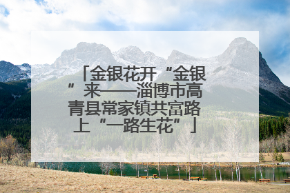 金银花开“金银”来——淄博市高青县常家镇共富路上“一路生花”