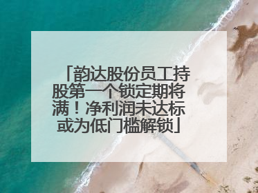 韵达股份员工持股第一个锁定期将满！净利润未达标或为低门槛解锁
