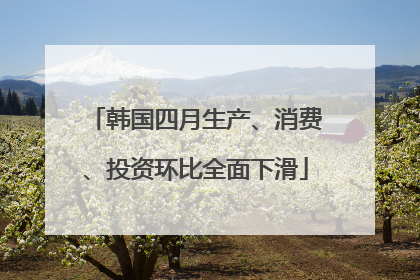 韩国四月生产、消费、投资环比全面下滑