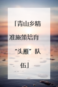 青山乡精准施策培育“头雁”队伍
