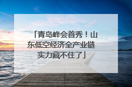 青岛峰会首秀！山东低空经济全产业链实力藏不住了