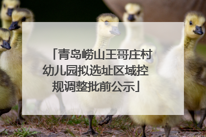 青岛崂山王哥庄村幼儿园拟选址区域控规调整批前公示
