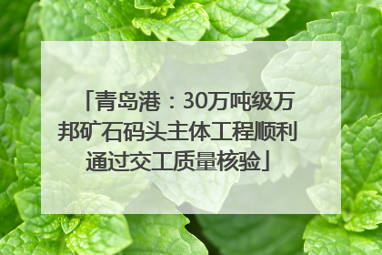 青岛港：30万吨级万邦矿石码头主体工程顺利通过交工质量核验