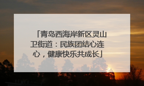 青岛西海岸新区灵山卫街道：民族团结心连心，健康快乐共成长
