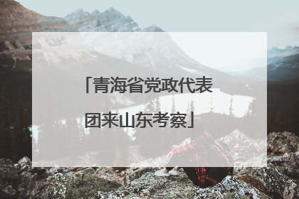青海省党政代表团来山东考察