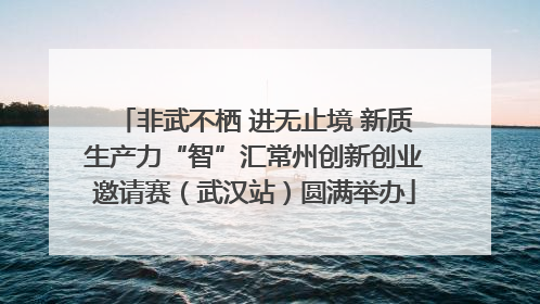 非武不栖 进无止境 新质生产力“智”汇常州创新创业邀请赛（武汉站）圆满举办