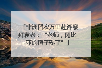 非洲稻农万里赴湘祭拜袁老：“老师，冈比亚的稻子熟了”