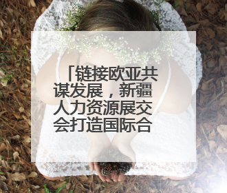 链接欧亚共谋发展，新疆人力资源展交会打造国际合作新平台