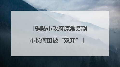 铜陵市政府原常务副市长何田被“双开”