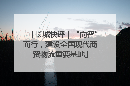 长城快评｜“向智”而行，建设全国现代商贸物流重要基地