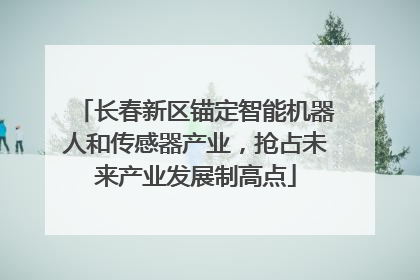 长春新区锚定智能机器人和传感器产业，抢占未来产业发展制高点