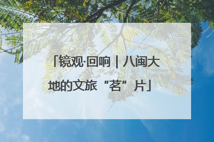 镜观·回响｜八闽大地的文旅“茗”片