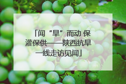 闻“旱”而动 保灌保供——陕西抗旱一线走访见闻