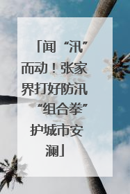 闻“汛”而动！张家界打好防汛“组合拳” 护城市安澜