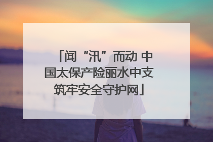 闻“汛”而动 中国太保产险丽水中支筑牢安全守护网