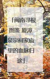 闽南寻根图鉴 厦漳泉宗祠家庙里的血脉归途