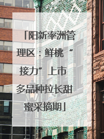 阳新率洲管理区：鲜桃“接力”上市 多品种拉长甜蜜采摘期
