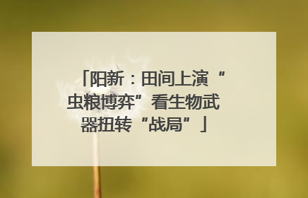 阳新：田间上演“虫粮博弈”看生物武器扭转“战局”