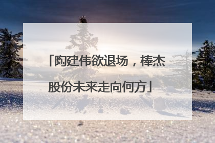 陶建伟欲退场，棒杰股份未来走向何方