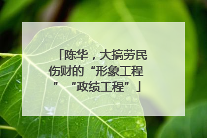 陈华，大搞劳民伤财的“形象工程”“政绩工程”