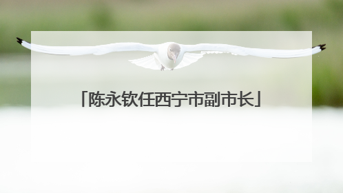 陈永钦任西宁市副市长